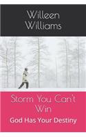 Storm You Can't Win