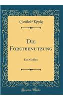 Die Forstbenutzung
