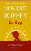 Sun Dog