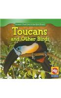 Toucans and Other Birds