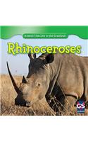 Rhinoceroses