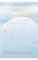 Understanding God's Purpose for Your Brain
