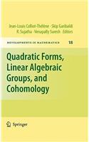 Quadratic Forms, Linear Algebraic Groups, and Cohomology