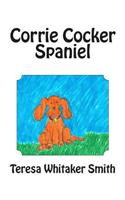 Corrie Cockerspaniel