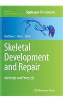 Skeletal Development and Repair