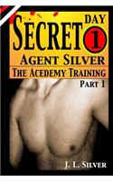 Secret Agent Silver