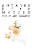 Scraped Knee Wounds: A Collection of Poems