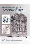 Molecular Biology of Picornavirus