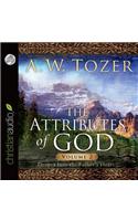 The Attributes of God Vol. 2