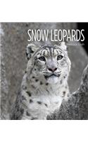 Snow Leopards