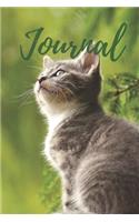 Blank Lined Journal, Cat Kitten Kitty, Diary for Thoughts, Ideas, and Dreams 6x9