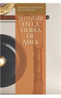 Shinobi en la tierra de Amek