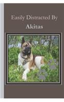 Easily Distracted By Akitas