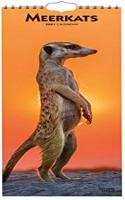 MEERKATS 2021 SLIMLINE BTUK