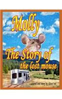 Story of the Lost Mouse
