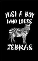 Just A Boy Who Loves Zebras: Book Journal Notepad Zebra Animal Lover Gift