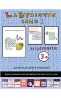 Labyrinth-Praxis für Kleinkinder (Band 2): 25 vollfarbig bedruckbare Labyrinth-Arbeitsblätter für Vorschul-/Kindergartenkinder(23 Labyrinth-Praxis Für Kleinkinder)