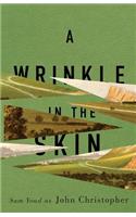 Wrinkle in the Skin