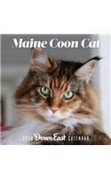 2020 Maine Coon Cat Wall Calendar