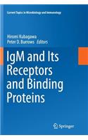 Igm and Its Receptors and Binding Proteins