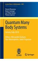 Quantum Many Body Systems