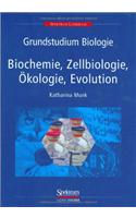 Grundstudium Biologie - Biochemie, Zellbiologie, A-Kologie, Evolution