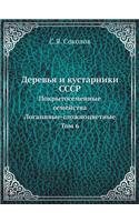 Деревья и кустарники СССР