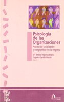Psicologia de las organizaciones