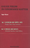 Gauge Fields In Condensed Matter (In 2 Volumes)