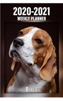 2020-2021 Weekly Planner Beagle