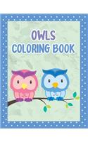 Owls Coloring Book