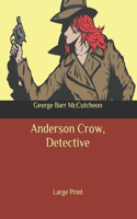 Anderson Crow, Detective: Large Print