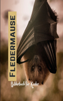 Fledermäuse: Bilderbuch für Kinder