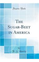 The Sugar-Beet in America (Classic Reprint)