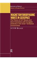 Magnetohydrodynamic Waves in Geospace