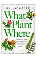 What Plant Where