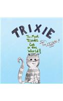 Trixie the Most Terrible Cat in the World