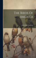 Birds Of America; Volume 3
