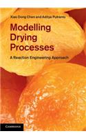 Modelling Drying Processes