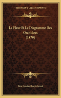 Fleur Et Le Diagramme Des Orchidees (1879)
