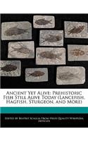 Ancient Yet Alive