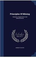 Principles Of Mining: Valuation, Organization And Administration