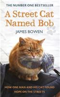 A Street Cat Named Bob: How one man and his cat found hope on the streets