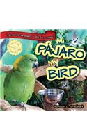 Mi Pájaro / My Bird