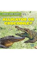 Alligator or Crocodile?