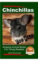 Chinchillas For Kids - Amazing Animal Books For Young Readers