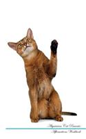 Abyssinian Cat Affirmations Workbook Abyssinian Cat Presents