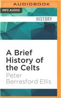 Brief History of the Celts