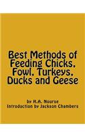 Best Methods of Feeding Chicks, Fowl, Turkeys, Ducks and Geese