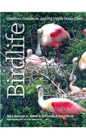 Birdlife of Houston, Galveston, and the Upper Texas Coast